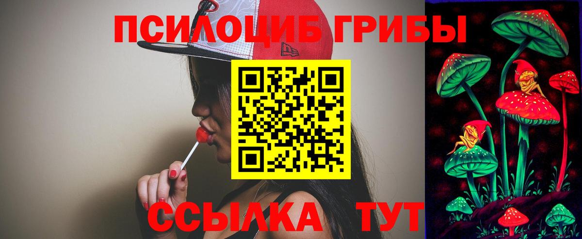 Галлюциногенные грибы ЛСД  Вход с VPN  Сухой Лог  Галлюциногенные грибы GOLDEN TEACHER 